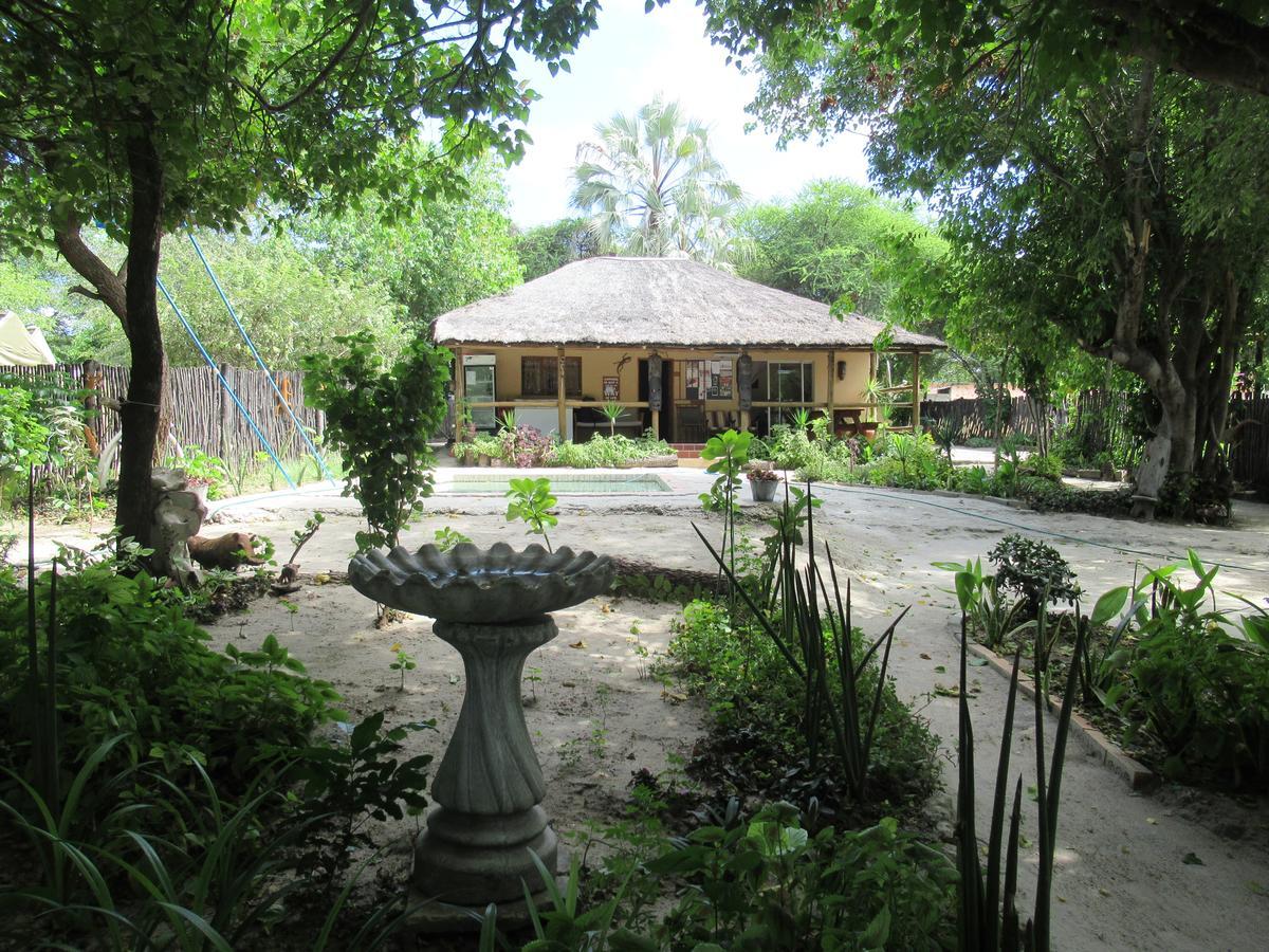 Motsebe Backpackers Hotel Maun Exterior foto