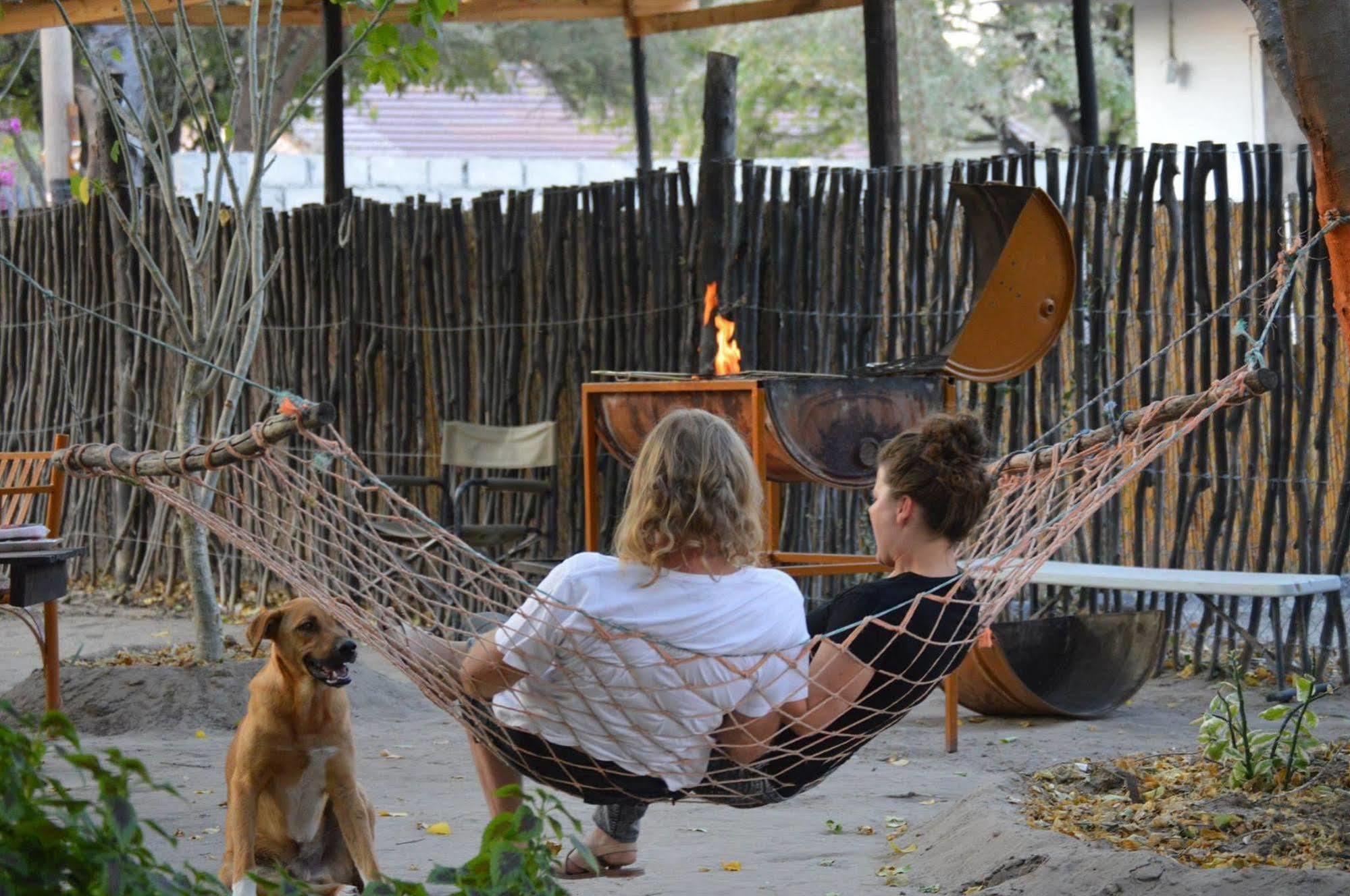 Motsebe Backpackers Hotel Maun Exterior foto