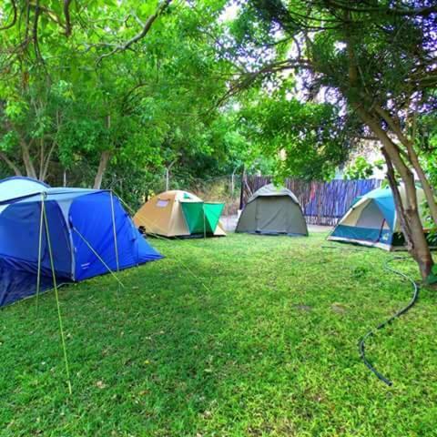 Motsebe Backpackers Hotel Maun Exterior foto