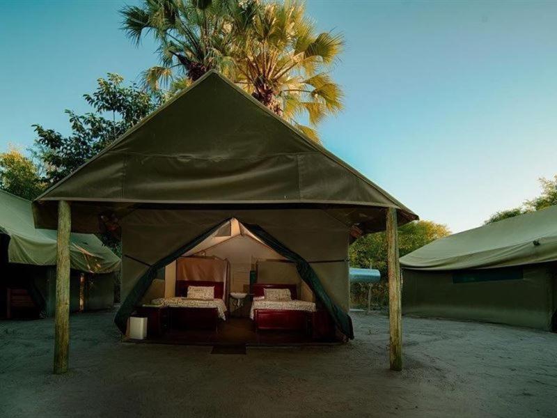 Motsebe Backpackers Hotel Maun Exterior foto